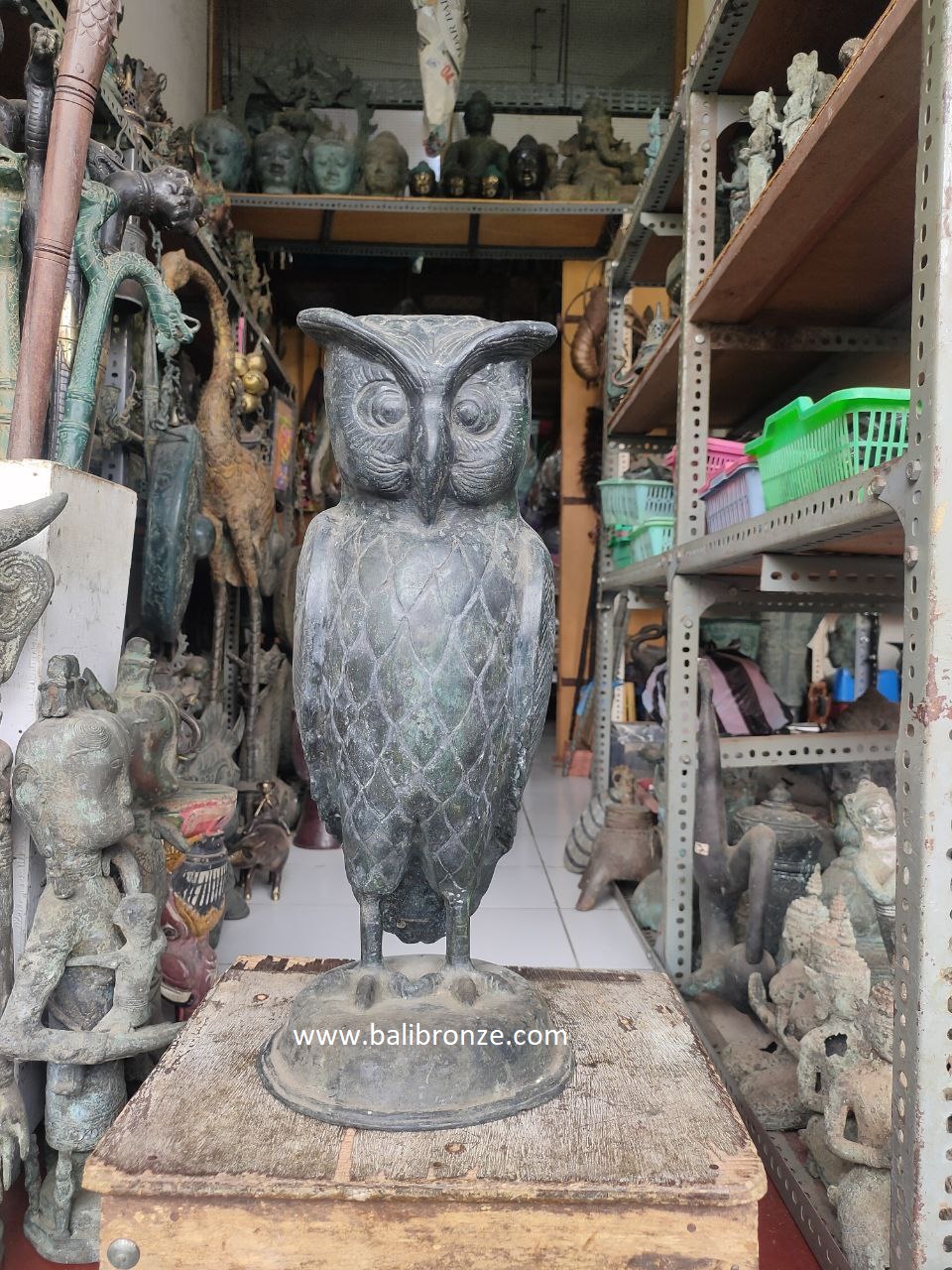 1004 Owl / Burung Hantu 45cm YTP