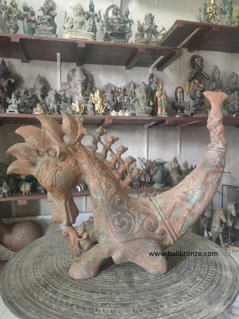 1034 Antique Seahorse 50cm TGS