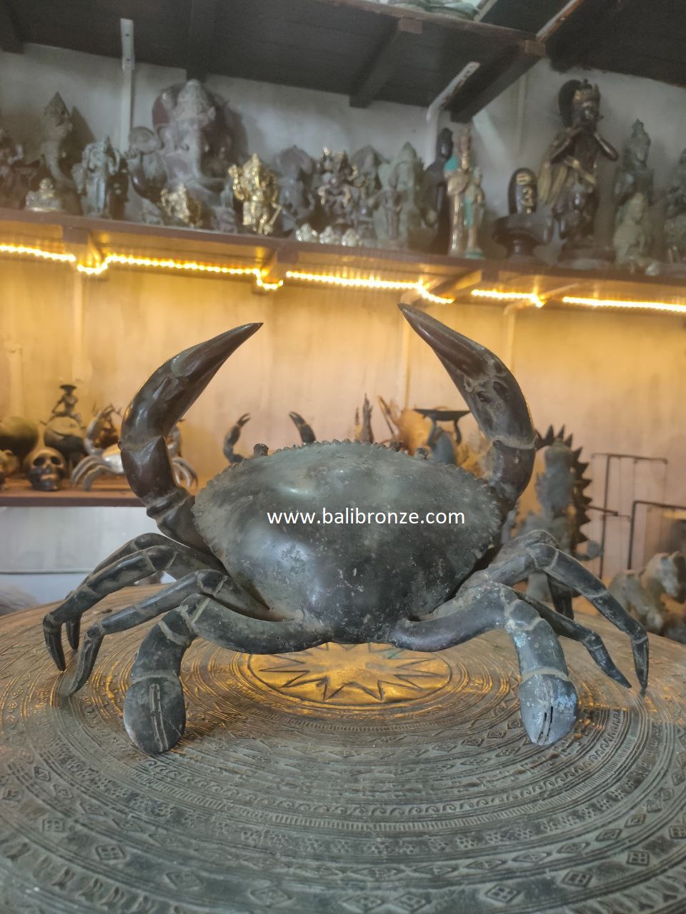 1153 Crab 25 cm NMI